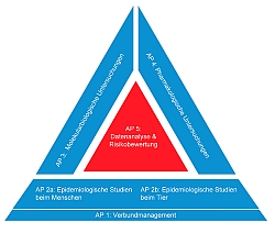 Darstellung der Arbeitsschwerpunkte